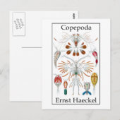 Copepoda van Ernst Haeckel Briefkaart (Voorkant / Achterkant)