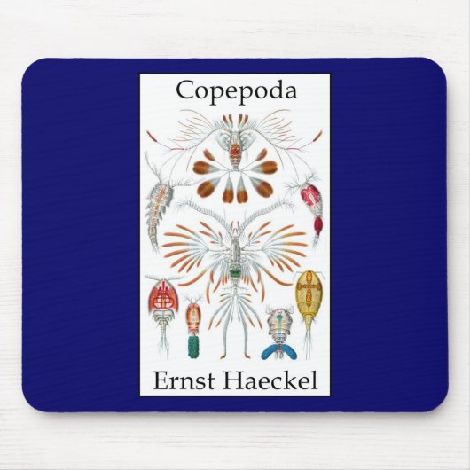 Copepoda van Ernst Haeckel Muismat (Voorkant)