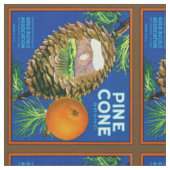CoPine Cone-Sinaasappels Stof (Close Up)