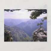 Copper Canyon Briefkaart (Voorkant)