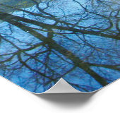 Copper Canyon, Mexico Poster (Hoek)