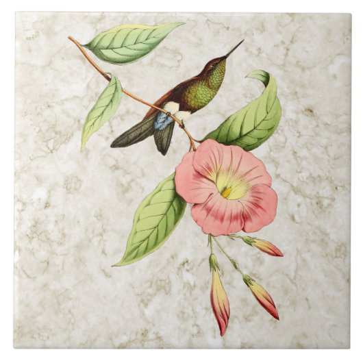 Copperen Bellied Puffleg Hummingbird Ceramic Tile Tegeltje (Voorkant)