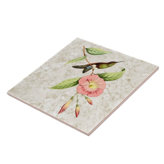 Copperen Bellied Puffleg Hummingbird Ceramic Tile Tegeltje (Zijkant)