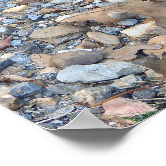 Copperhead Snake is uitgelekt bij het schemerige P Poster (Hoek)