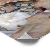 Copperkop slangenprofiel bij schemering Poster (Hoek)