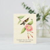 Coppery Bellied Puffleg Hummingbird Art Briefkaart (Staand voorkant)