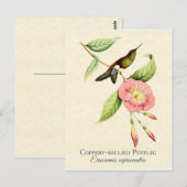 Coppery Bellied Puffleg Hummingbird Art Briefkaart (Voorkant / Achterkant)