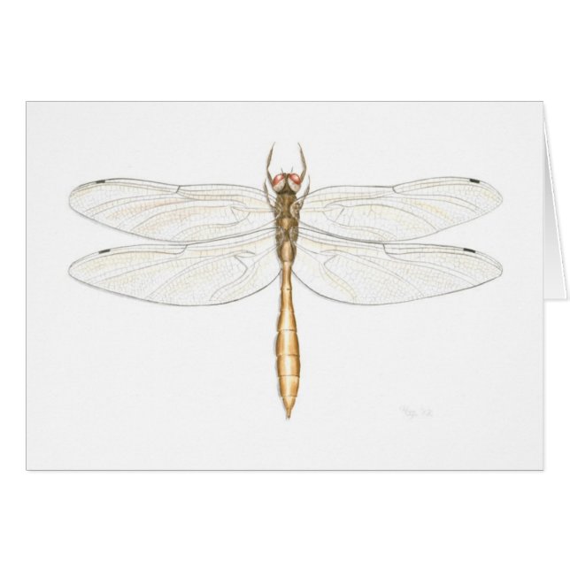 Coppery Emerald Dragonfly-kaart (Voorkant Horizontaal)