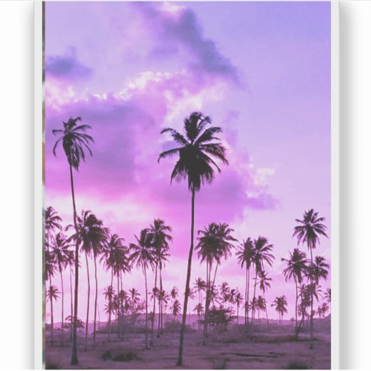 coqueiral ao entardecer sticker (Voorkant)