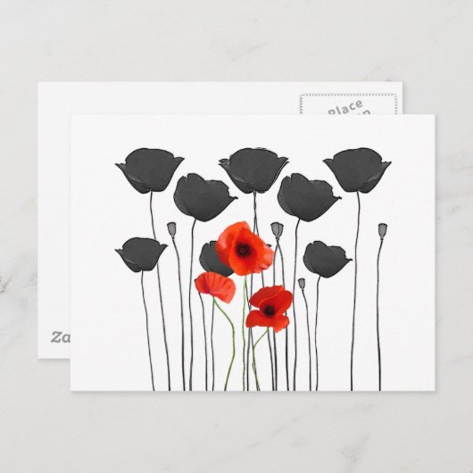 coquelicot briefkaart (Voorkant / Achterkant)