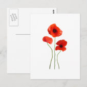 coquelicot-papaver briefkaart (Voorkant / Achterkant)