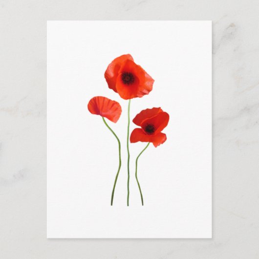 coquelicot-papaver briefkaart (Voorkant)
