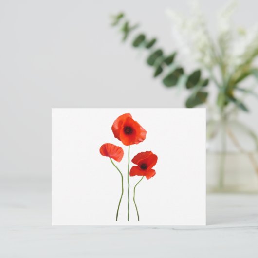 coquelicot-papaver briefkaart (Staand voorkant)