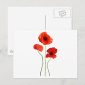 coquelicot-papaver briefkaart (Voorkant / Achterkant)