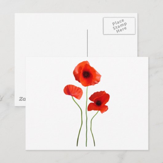 coquelicot-papaver briefkaart (Voorkant / Achterkant)
