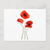 coquelicot-papaver briefkaart (Voorkant)