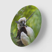 Coquerel Sifaka in het bos 2 Ronde Klok (Hoek)