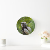 Coquerel Sifaka in het bos 2 Ronde Klok (Huis)