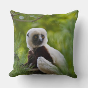 Coquerel's Sifaka in het bos 2 Kussen