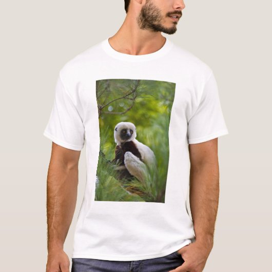 Coquerel's Sifaka in het bos 2 T-shirt (Voorkant)