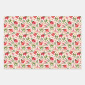 Coquette Christmas Preppy Rendier Inpakpapier Vel (Voorkant 2)