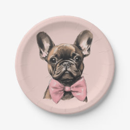Coquette Frenchie Papieren Bordje