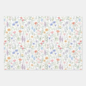 Coquette Vrouwelijke Wildflower Meadow Inpakpapier Vel (Voorkant 2)