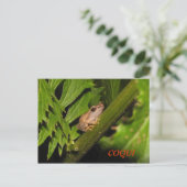 Coqui-Briefkaart Briefkaart (Staand voorkant)