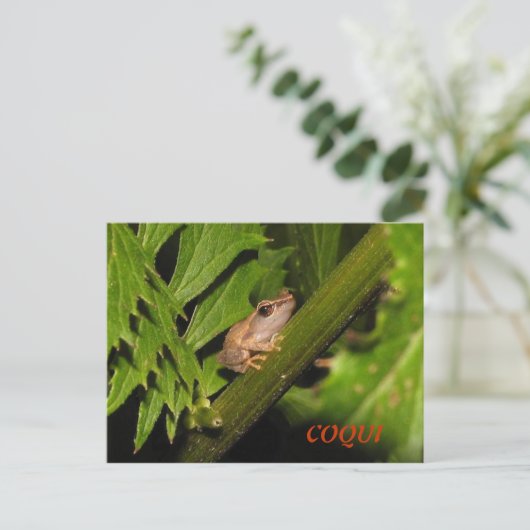 Coqui-Briefkaart Briefkaart (Staand voorkant)