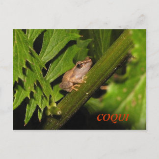 Coqui-Briefkaart Briefkaart