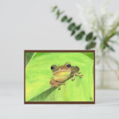 Coqui de Puerto Rico Postcard Briefkaart (Staand voorkant)