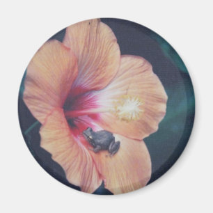 COQUI MAGNEET
