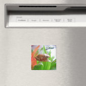 COQUI MAGNEET (Insitu (Vaatwasser))