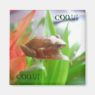 COQUI MAGNEET