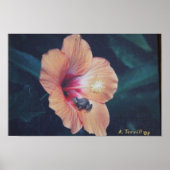 COQUI POSTER (Voorkant)