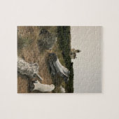 Coquille River Lighthouse, OR Legpuzzel (Horizontaal)