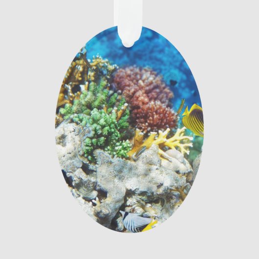 Coral Aquarium Ornament (voorkant)