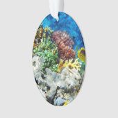 Coral Aquarium Ornament (voorkant)