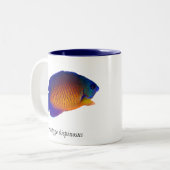 Coral Beauty Angelfish - Centropyge bispinosus Mok (Voorkant links)