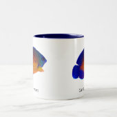 Coral Beauty Angelfish - Centropyge bispinosus Mok (Center)