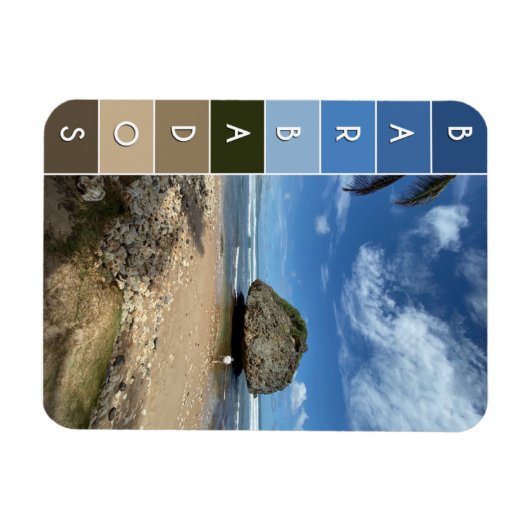 Coral Boulder - Bathsheba, Barbados Magneet (Horizontaal)