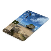 Coral Boulder - Bathsheba, Barbados Magneet (Linkerzijde)