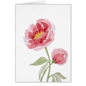 Coral Charm Peony waterverf (Voorkant)