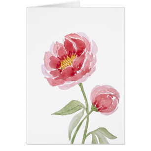 Coral Charm Peony waterverf