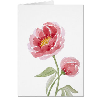Coral Charm Peony waterverf