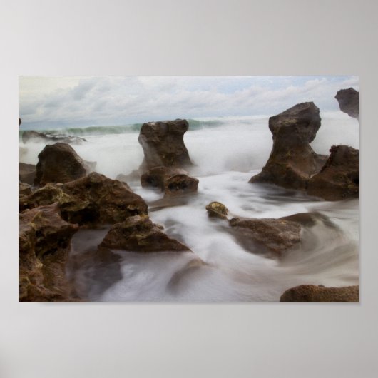 Coral Cove Park Beach, Florida Poster (Voorkant)