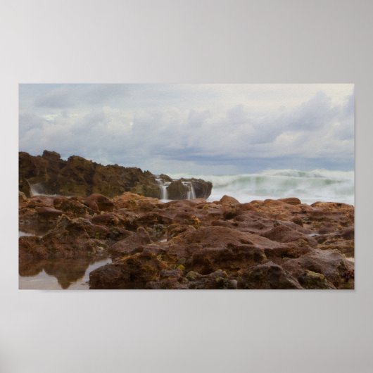 Coral Cove Park Beach, Florida Poster (Voorkant)