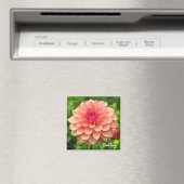 Coral Dahlia Magnet (Insitu (Vaatwasser))