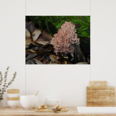 Coral Fungus Poster (Keuken)