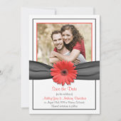 Coral Gerbera Grey Ribbon Wedding Save the Date (Voorkant)